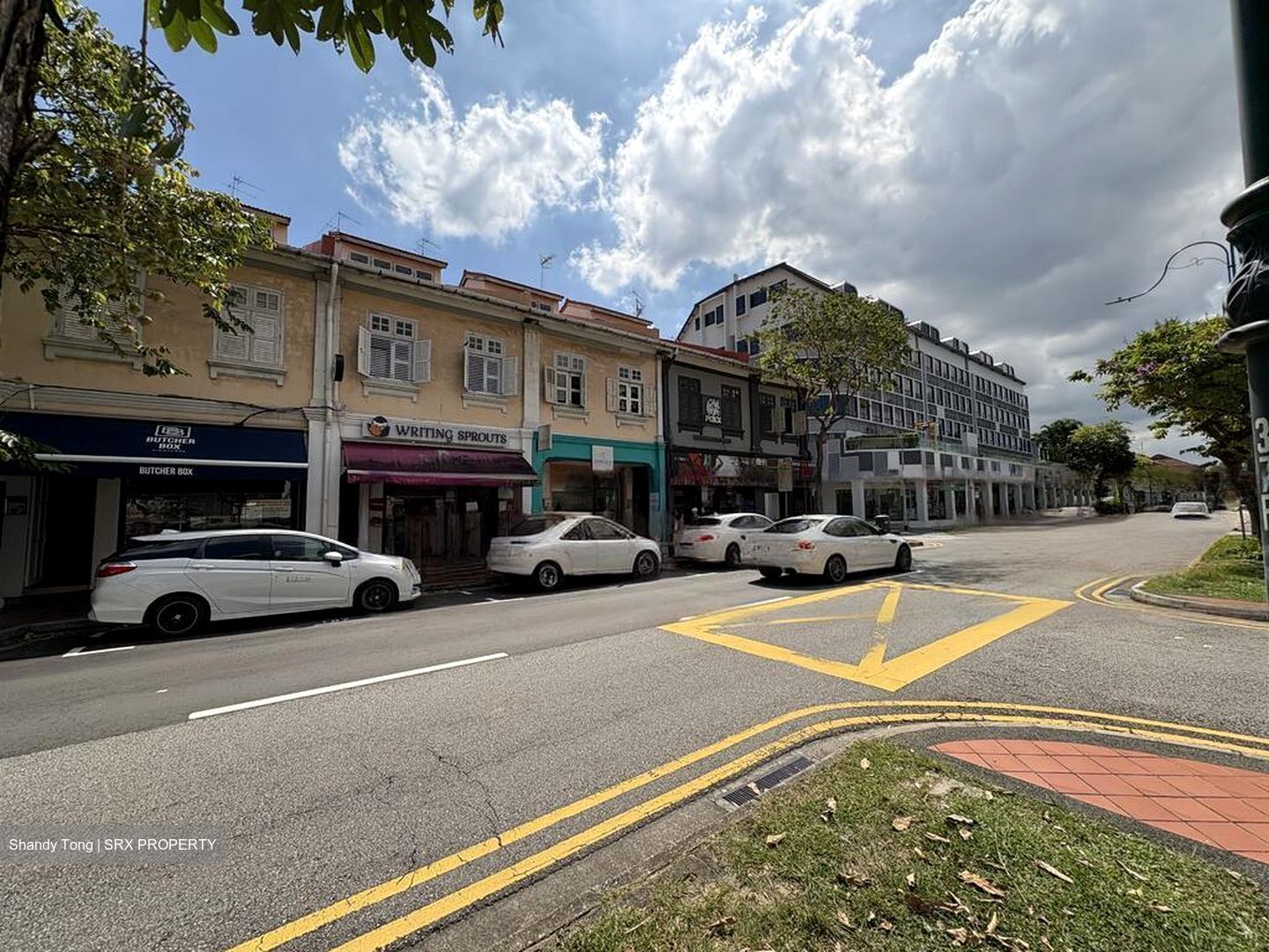 Joo Chiat Apartments (D15), Shop House #450840451
